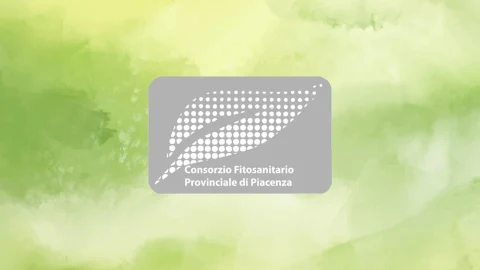 Immagine standard News Consorzio Fitosanitario di Piacenza