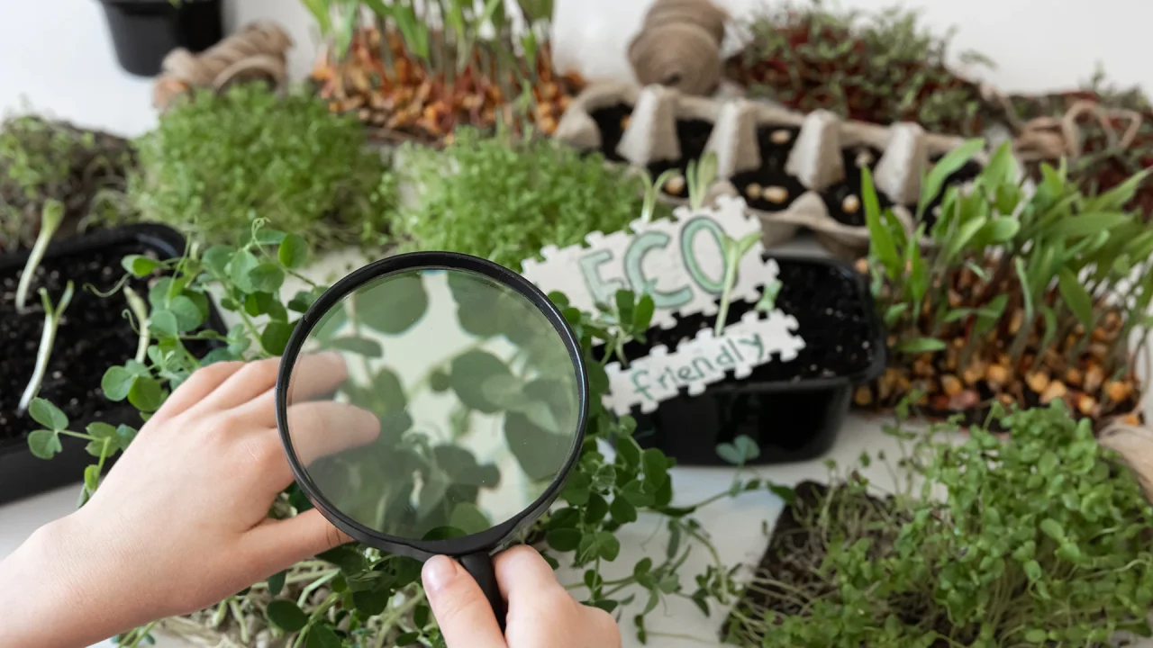 Controlli - Consorzio Fitosanitario di Piacenza